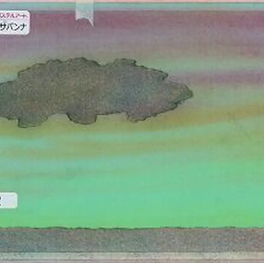 5fcdc8a272eb4667918b459a