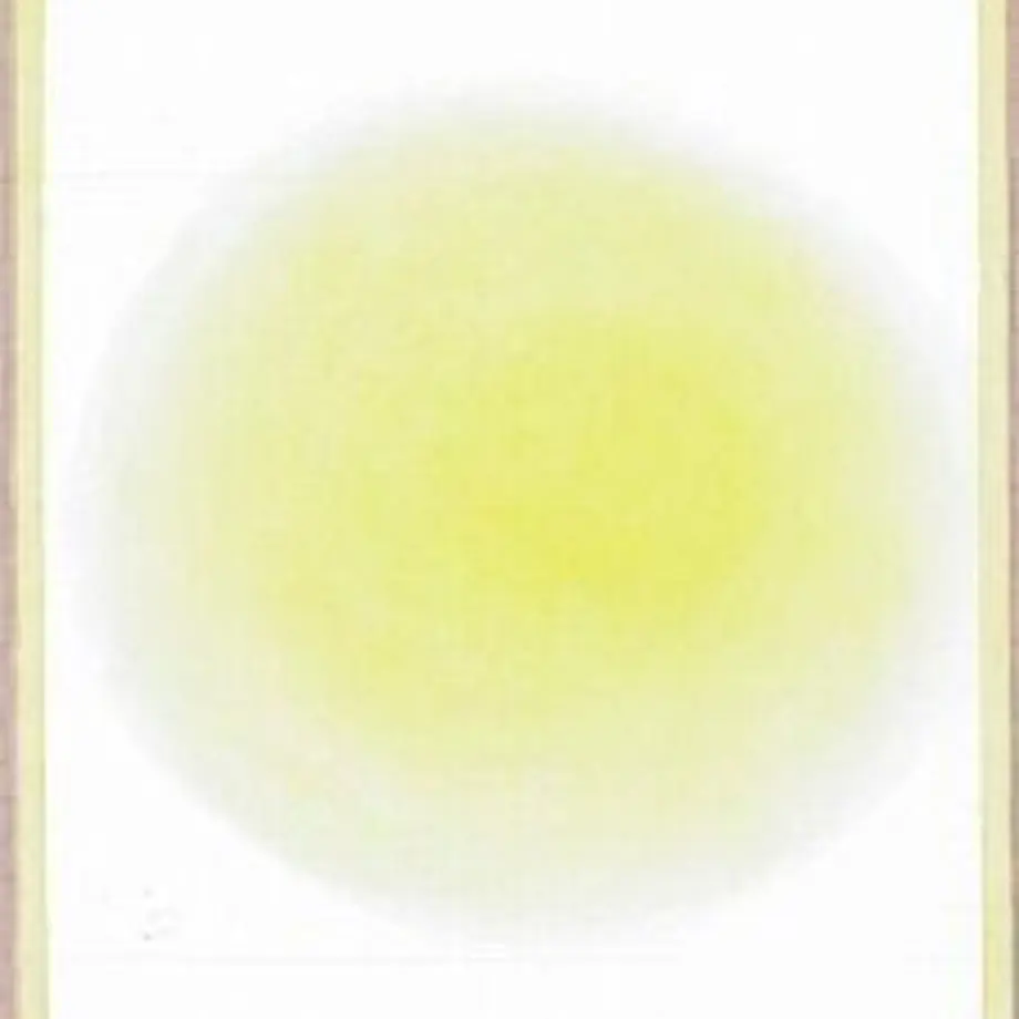 5fc846afda019c07b1f25745