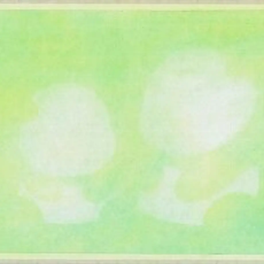 5fc84636f0b108795c8dacef