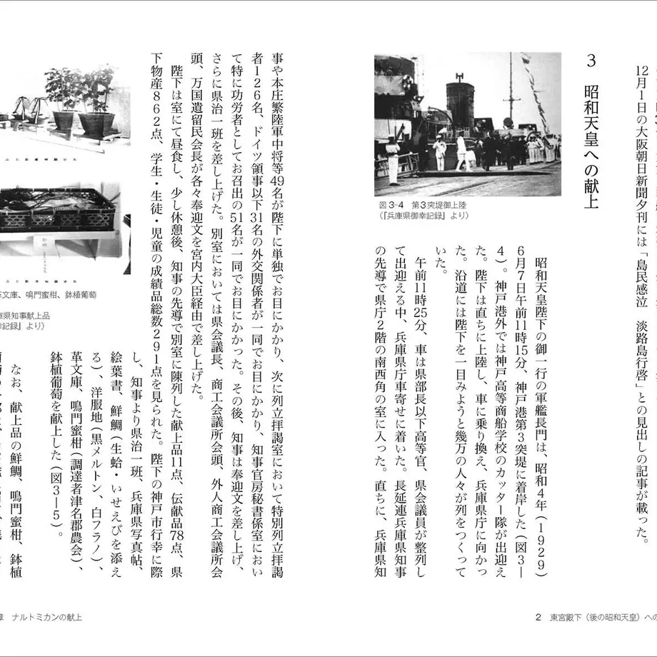 5ef319011829cd508124aa32