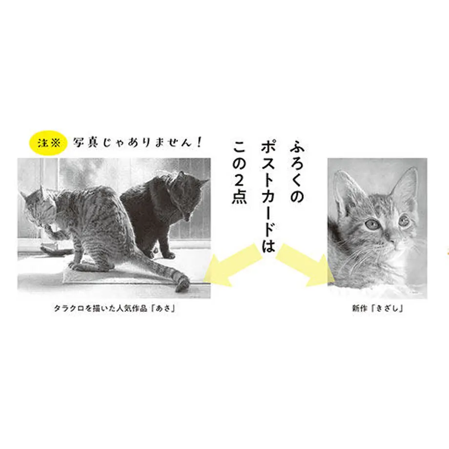 5f7449b43ae0f4452f9073ce