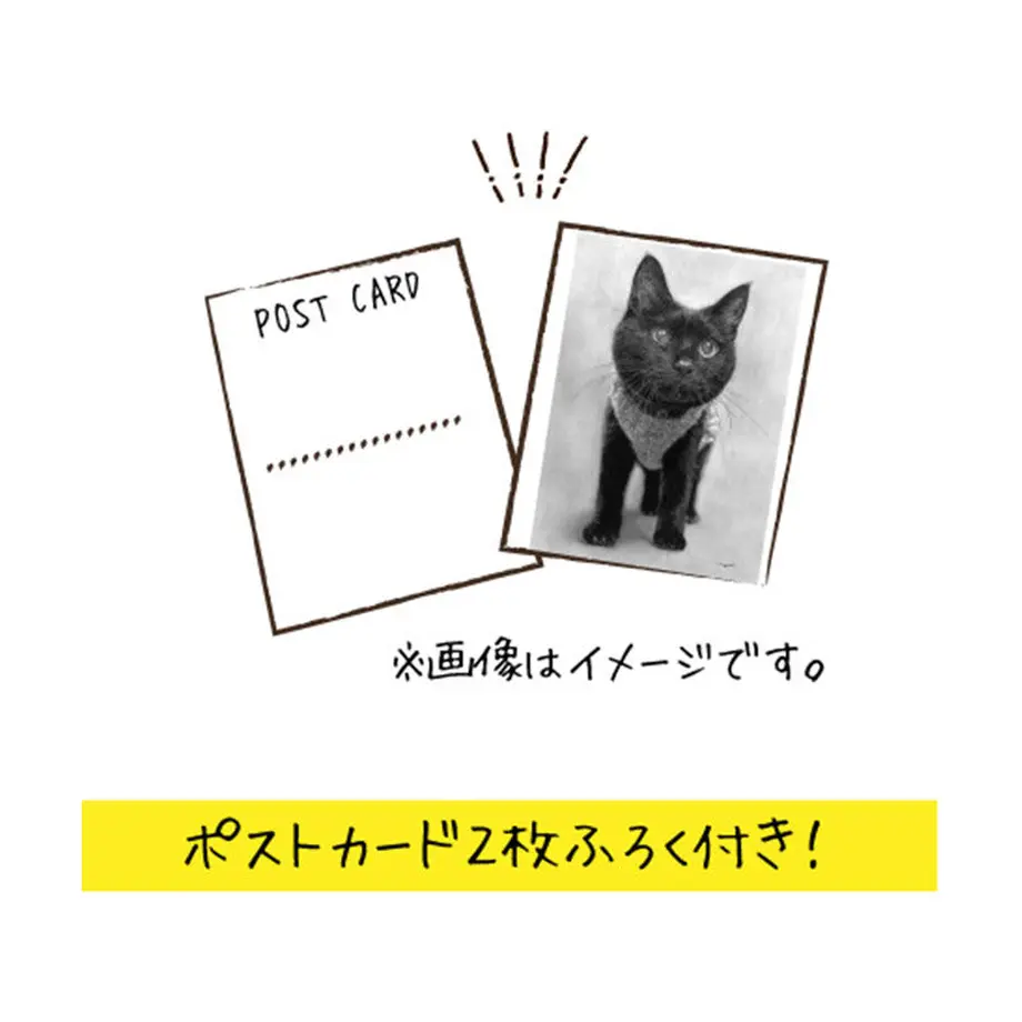 5f7449b43ae0f4452f9073ce
