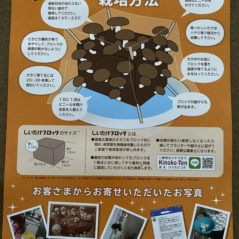 61349b04306ad3034d46c5e0