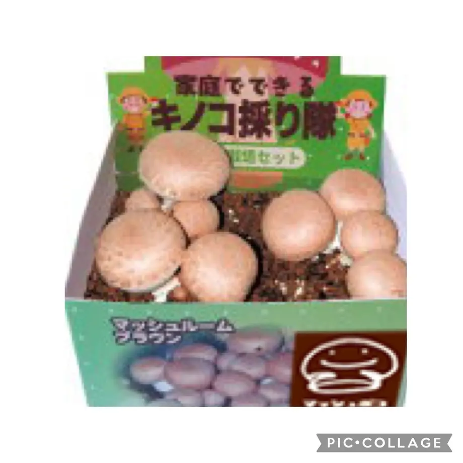 614d1b9a306ad36fb582cf3b