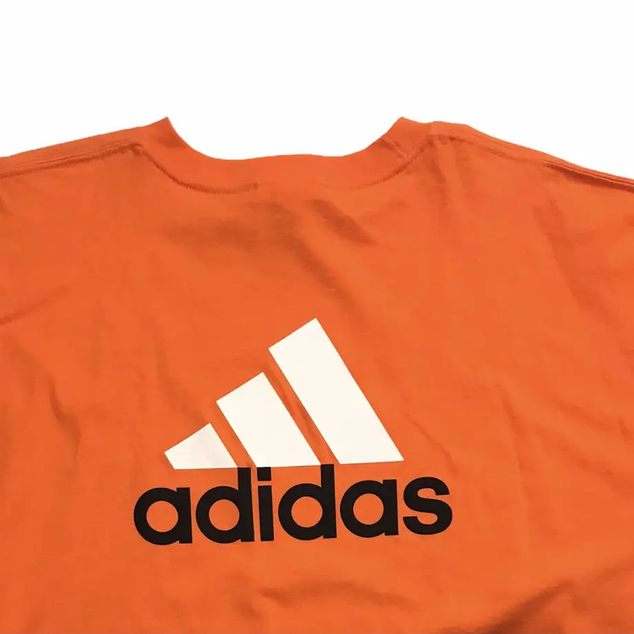 608e8b82da019c5b3e3fcdc6