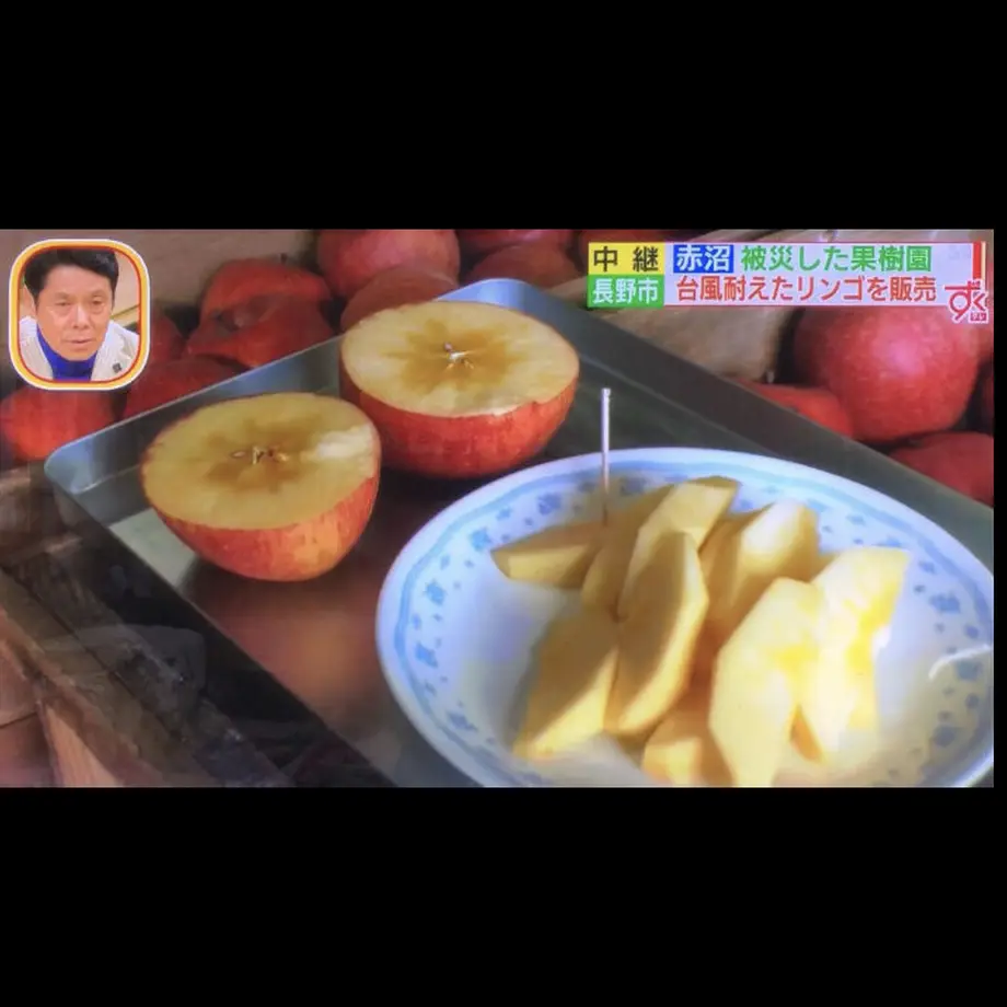 5f3781c07df281282a8db746