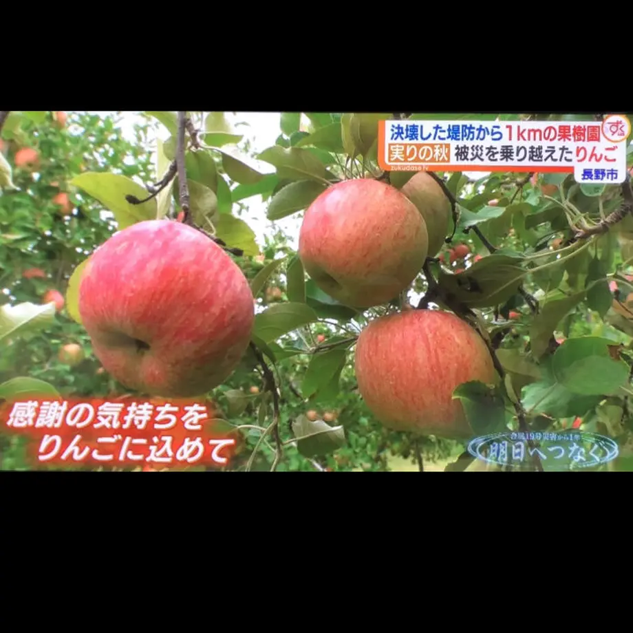 5f3781c07df281282a8db746