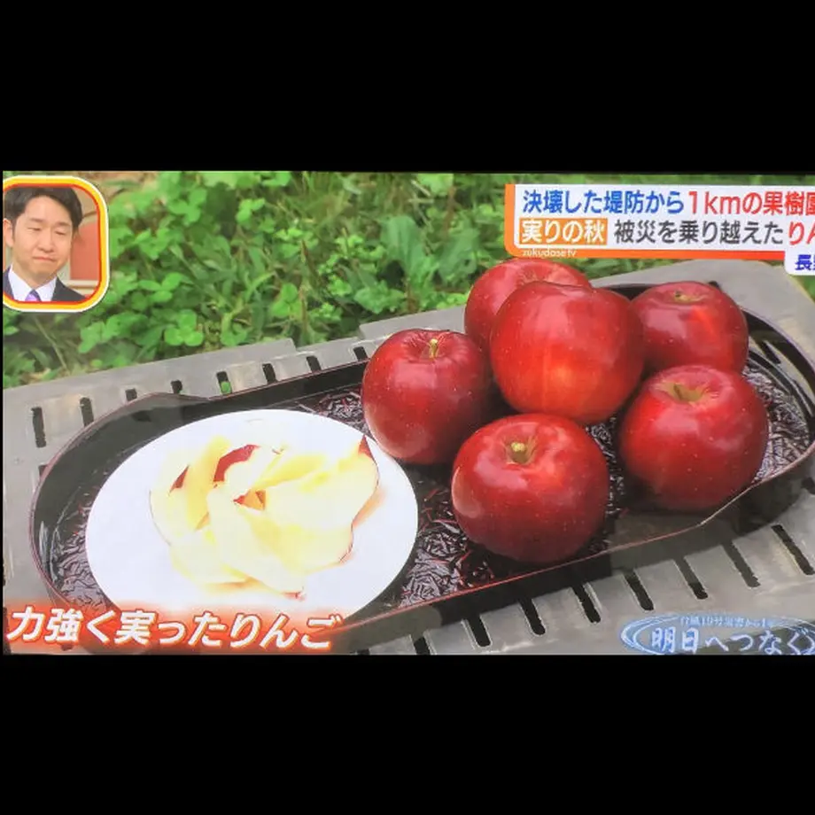 5f37759d223ead7dbb8af4b2