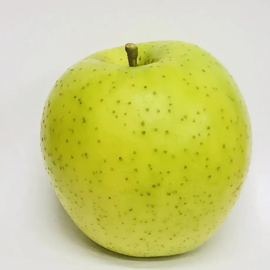 5f377eba791d020884055d5a