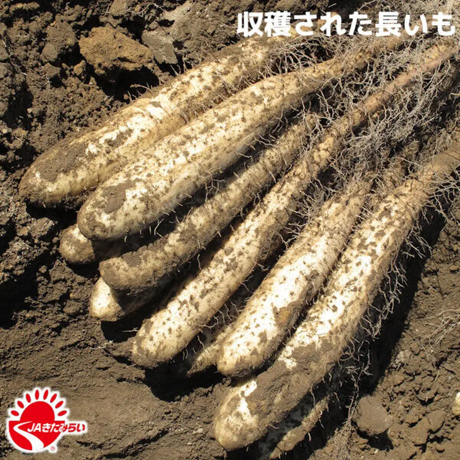 618e18042b3ca1691e949a16