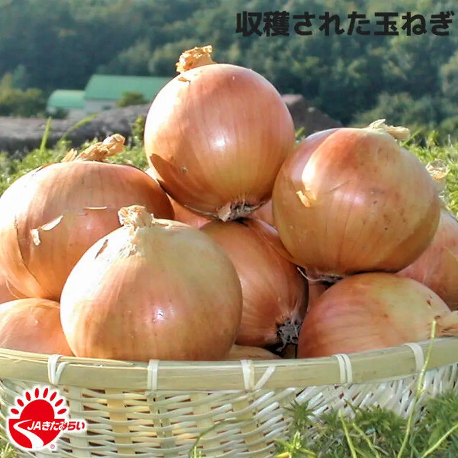 615d4042acbcb02f5de77c45