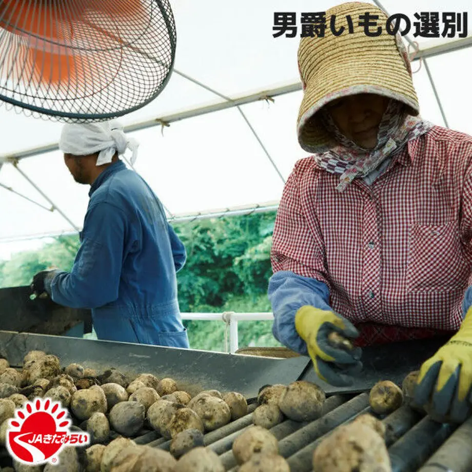 6358d3f8c92c5d6f3860fdea