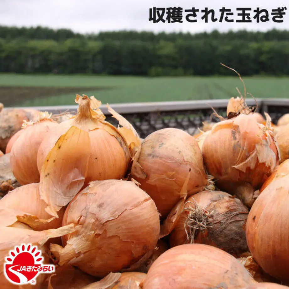 6358d3f8c92c5d6f3860fdea