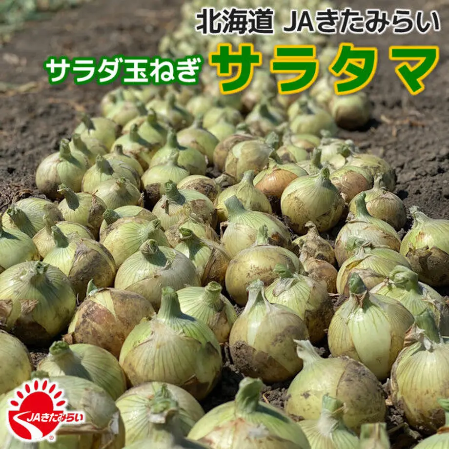 62c53c8bdbe7446a151107c7
