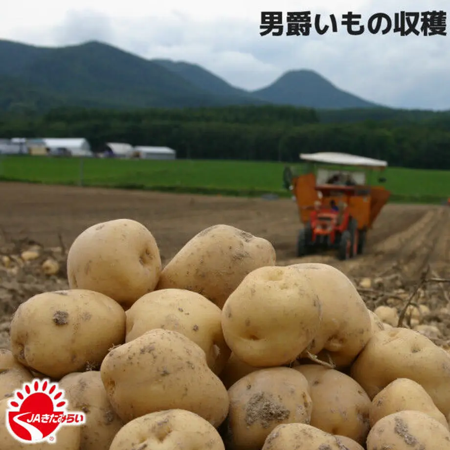 6358d3f8c92c5d6f3860fdea