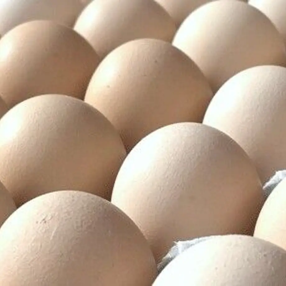 629d988197056545b0bb7457
