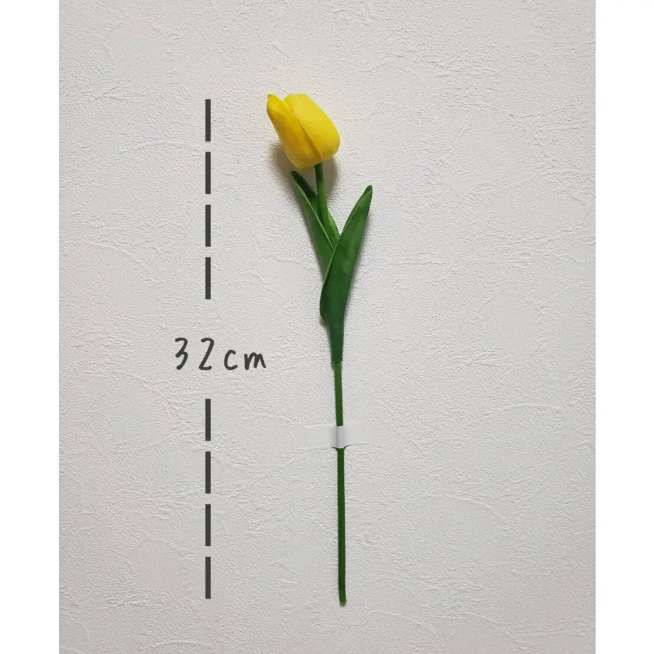 60660ec51e746b061e263e66