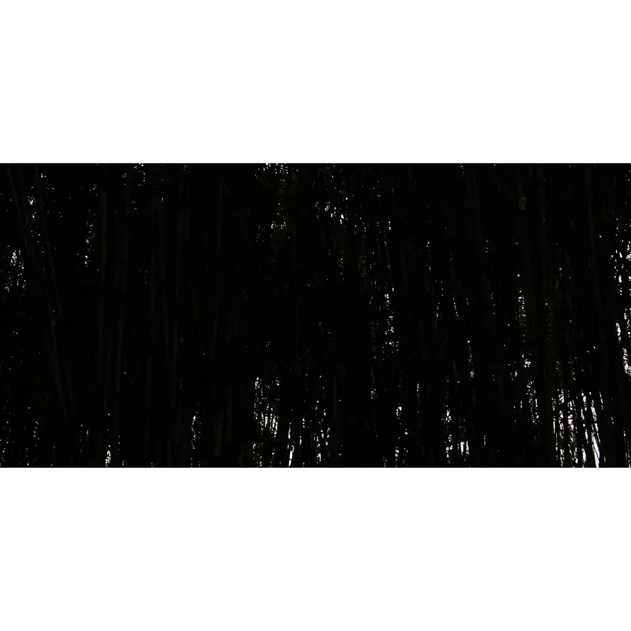 5d00c7dfc0b0fd7b57033f48