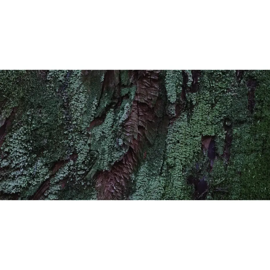 5b9ed9595496ff0ad7000925