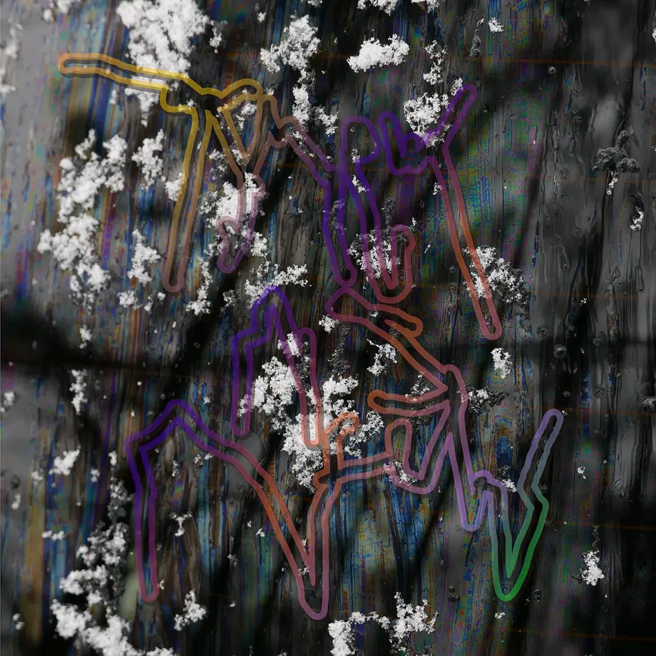 5d2b50764c806460dd1fb955