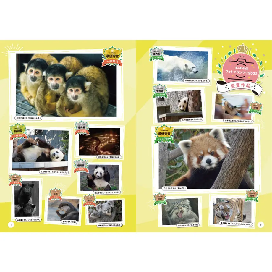63242db24ba8b42a80a6407e