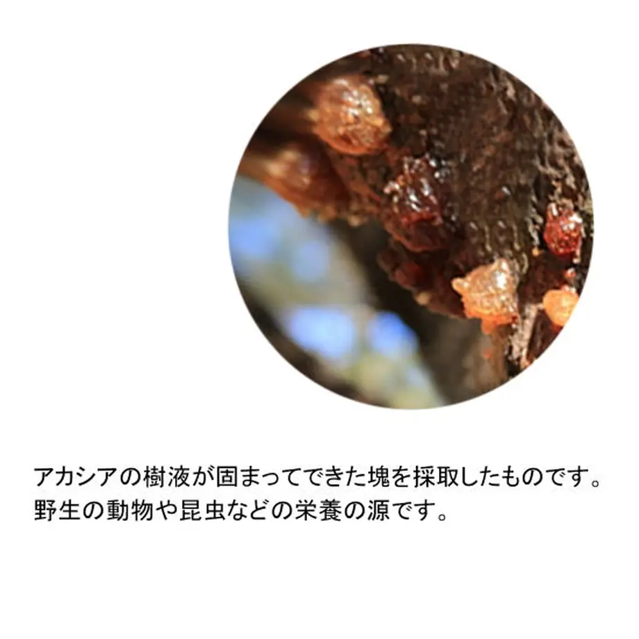 5c456b9f1444481bb24d91f3
