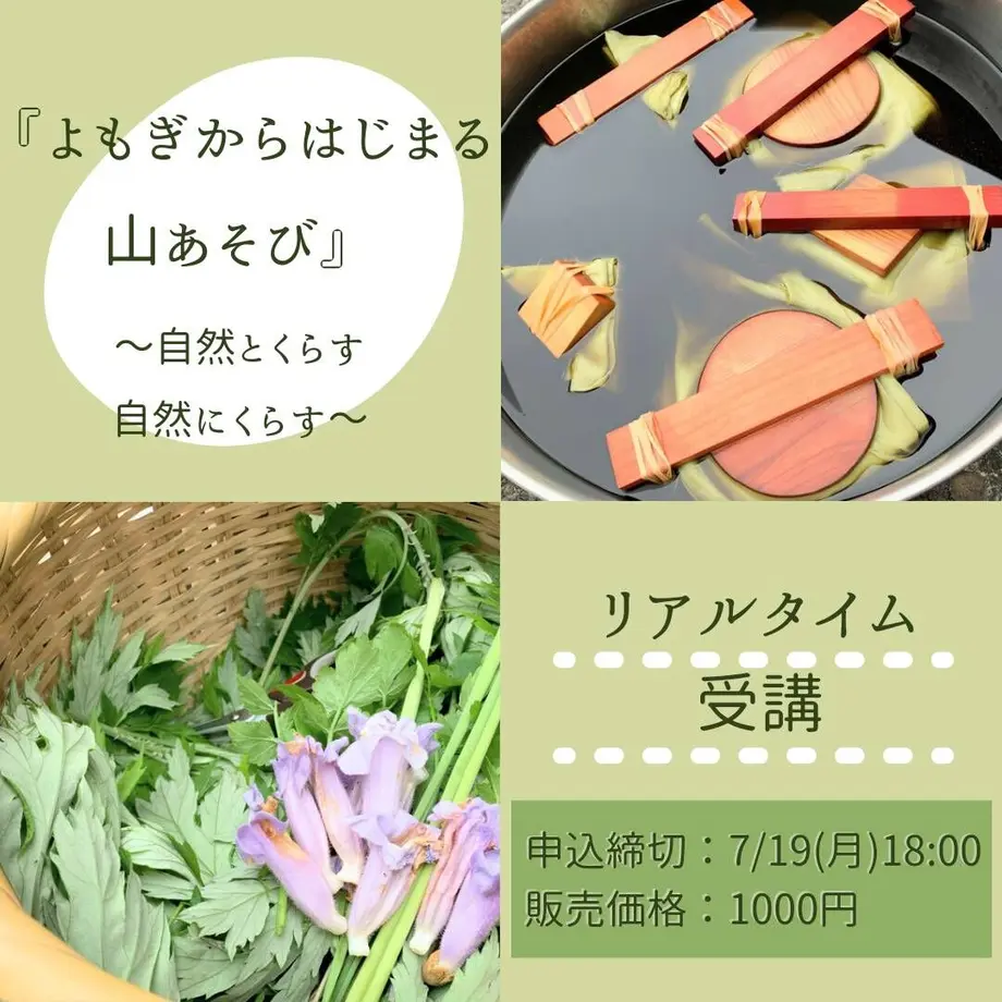60dee95b0850a041a1e0463d