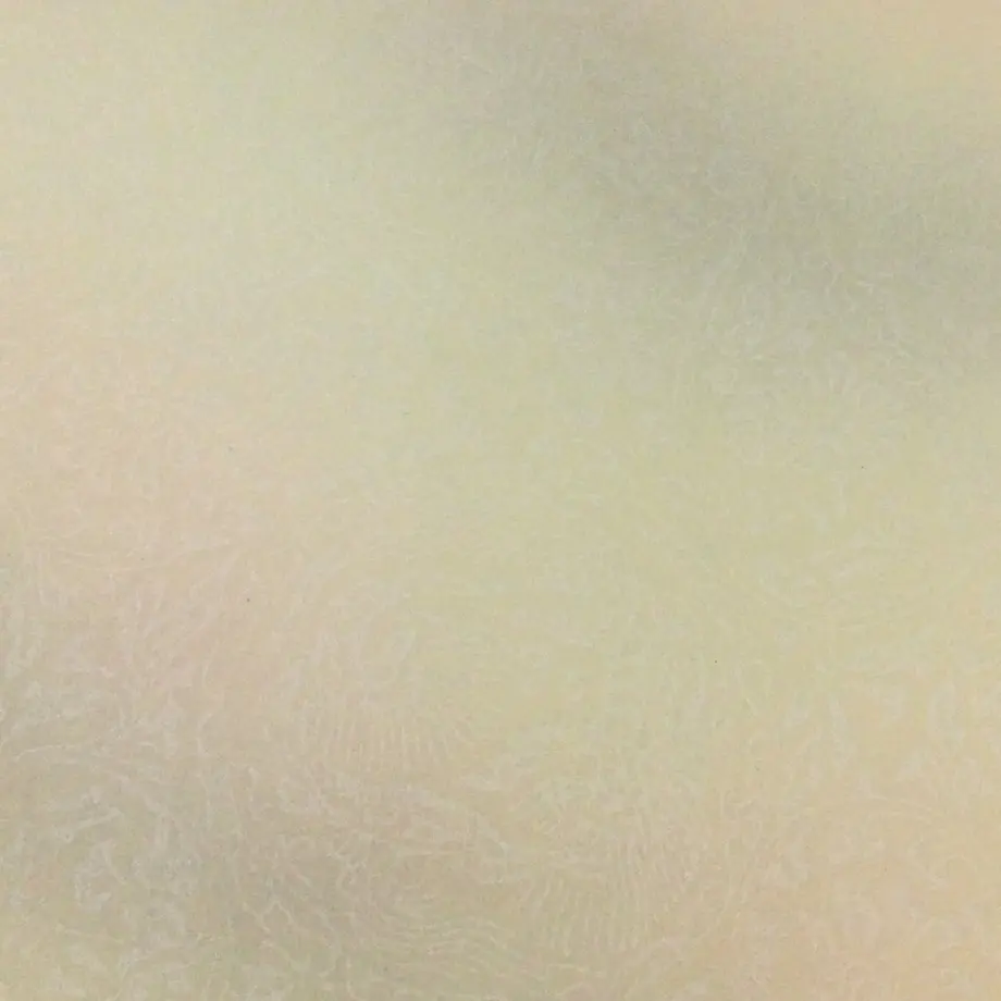 6318471ba74e33629fa9836a