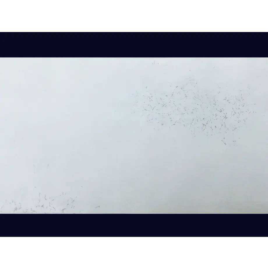 631301a623747f6446079719