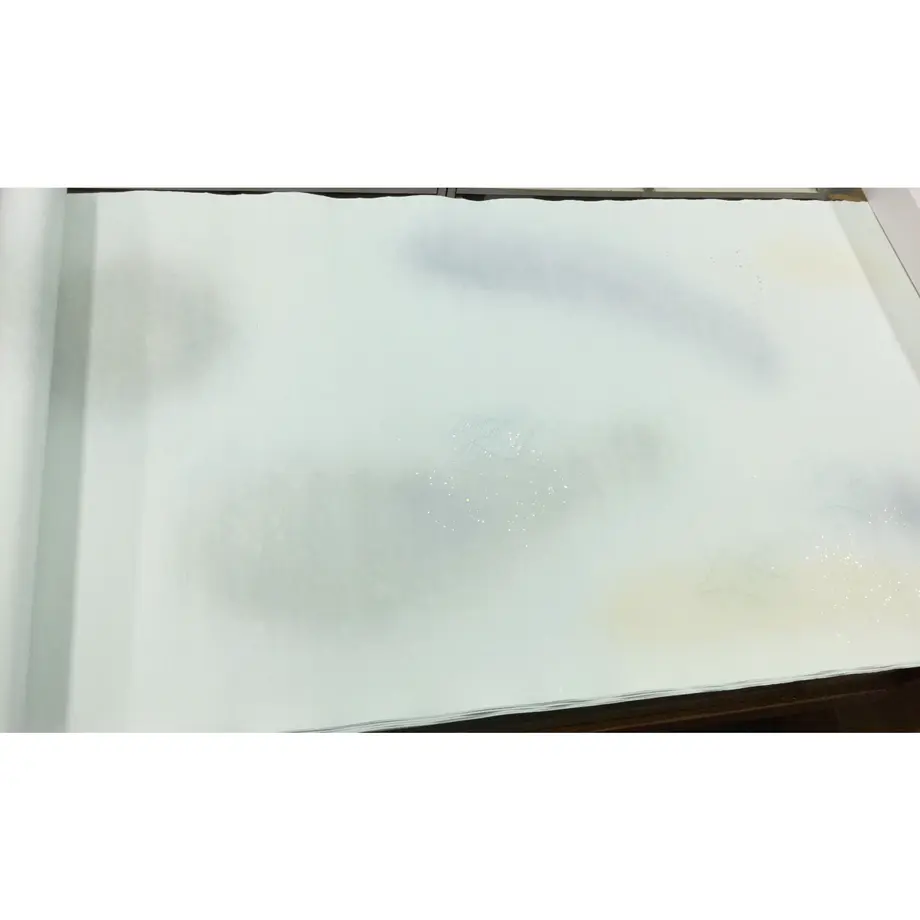 60121e3424386004f11337b9