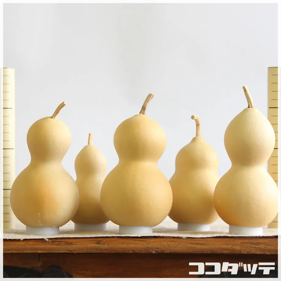 5fa74587da019c6d7b2e1006