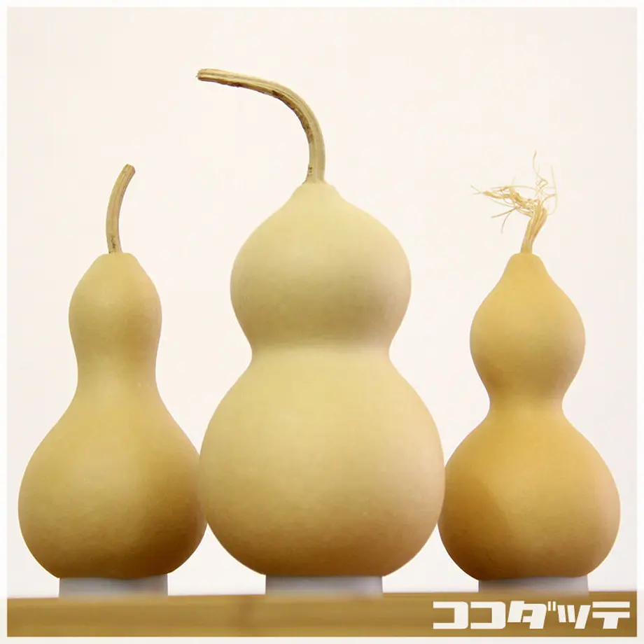 5fec2369df51590d8f53ef3f