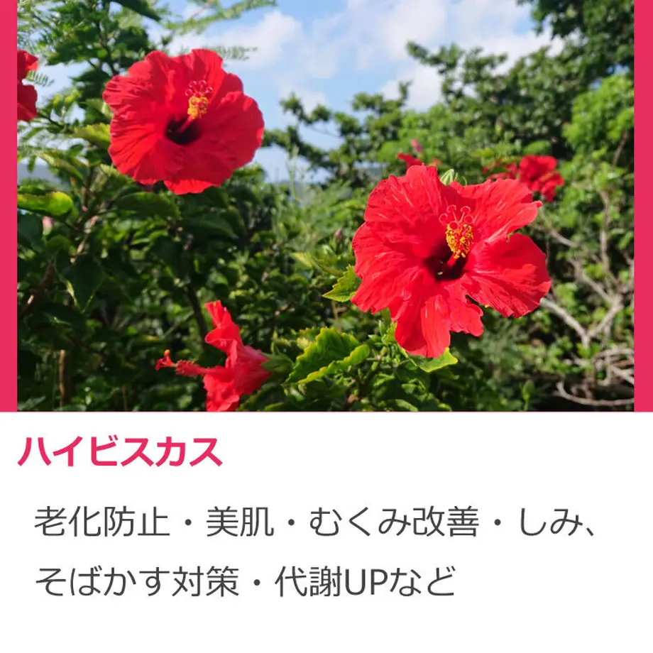 61d3f169110dda66f6c82660