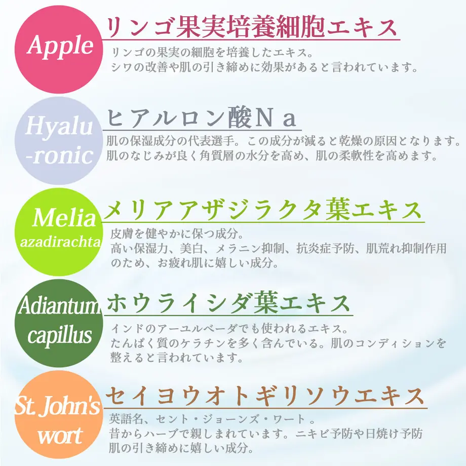 5f5a2c6eee28e50a6c1abc96