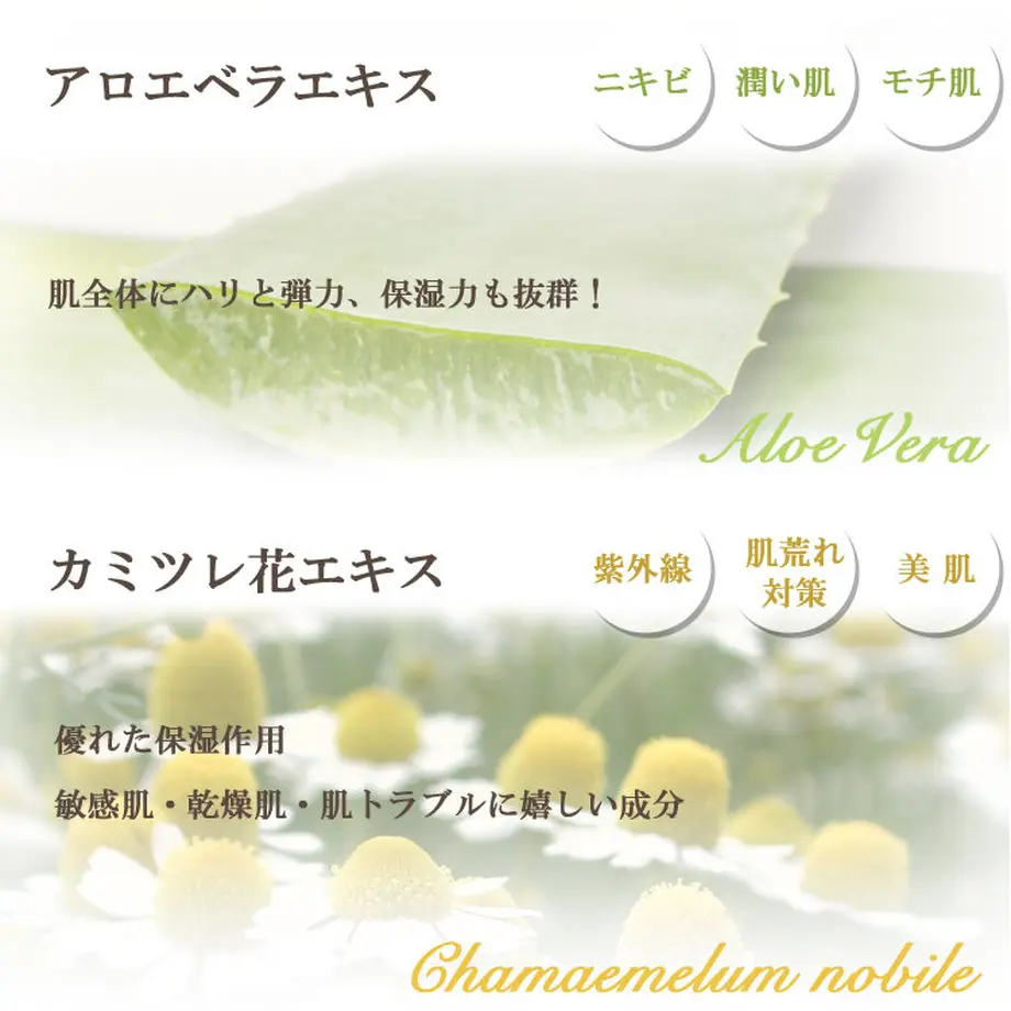 5c557d15aee1bb1a9b41868f