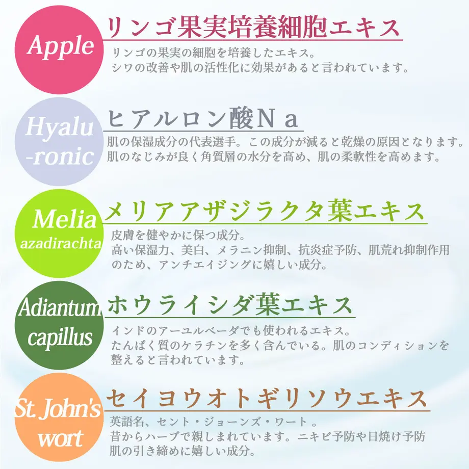 5f5a2c6eee28e50a6c1abc96