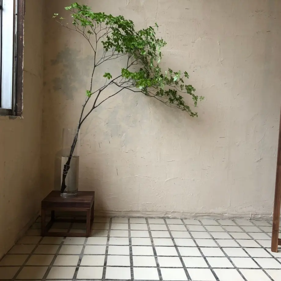 5d147831698fa55285499400