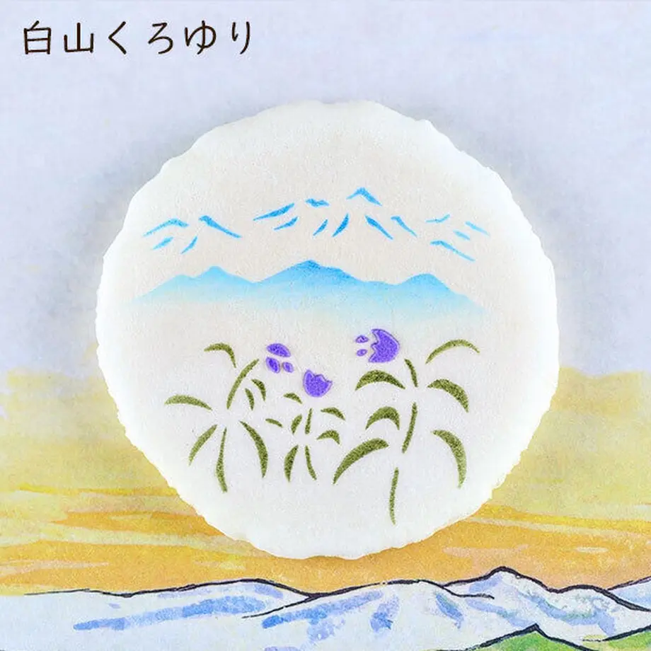 5fd06165da019c5ccef3fcb5