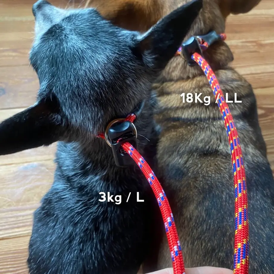 598a9bdcb1b6195f270008ff