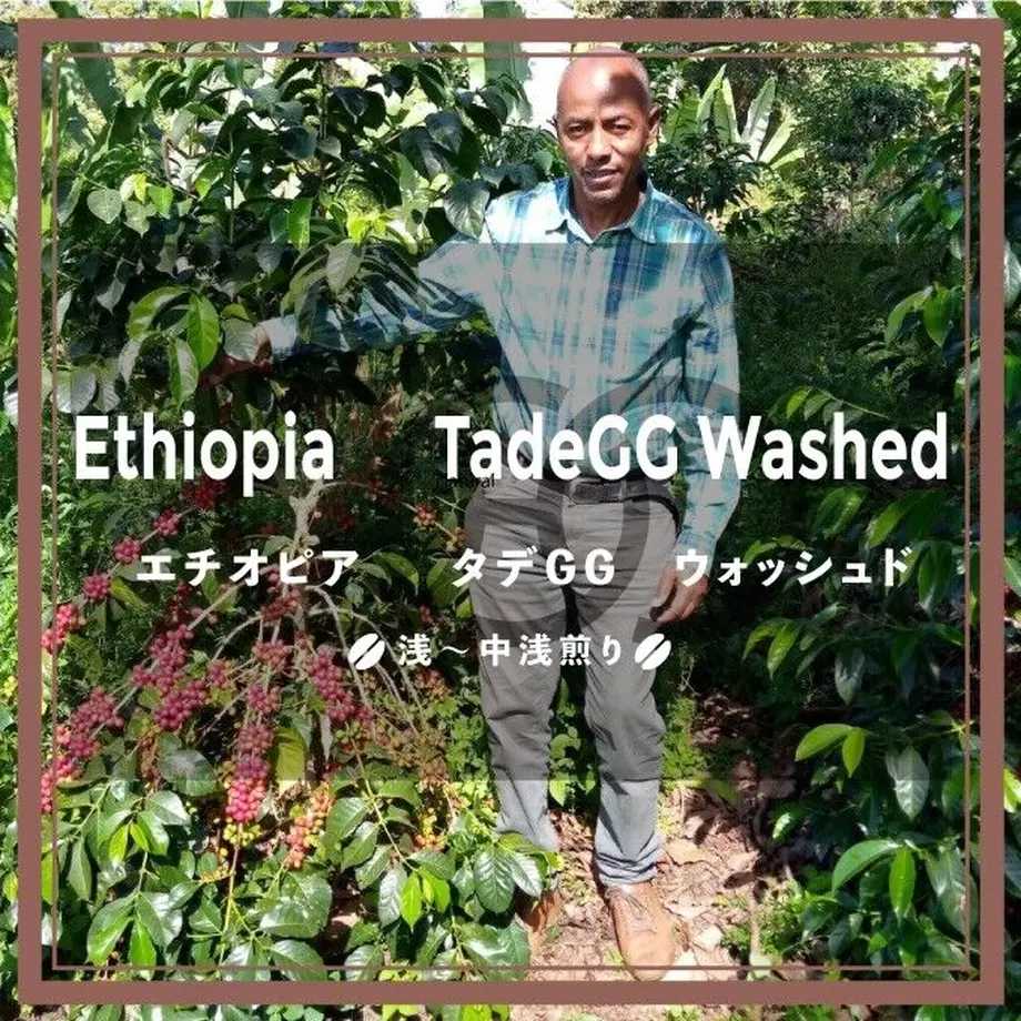 62dad4400f683c5657232fc4