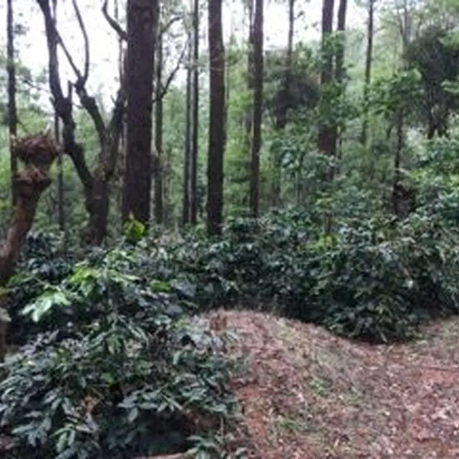 5fd4279ff0b1085414f71088