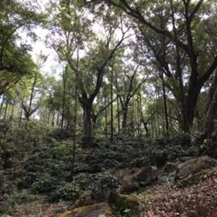 5fd4279ff0b1085414f71088