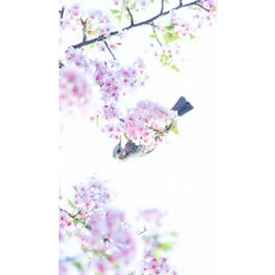 637064a3f3de5c4e9ddb6a66