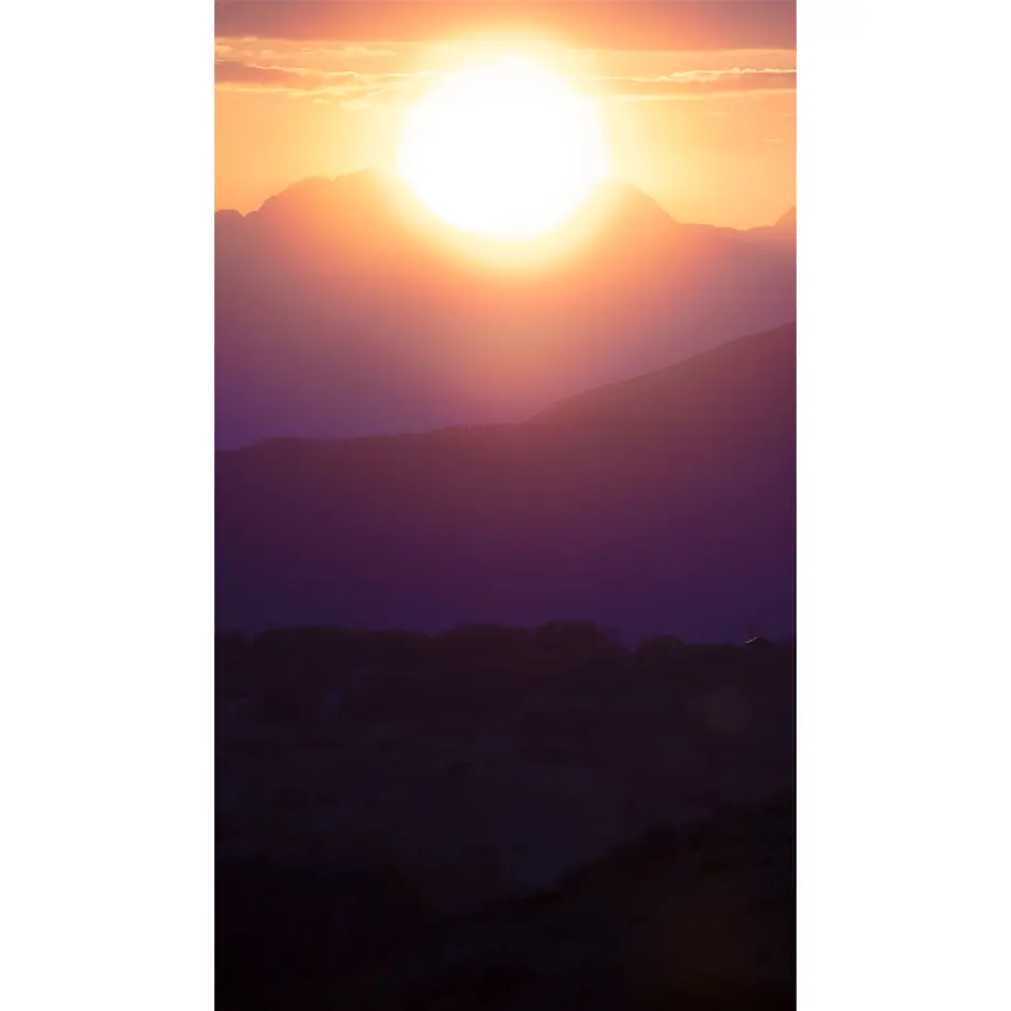 637064a3f3de5c4e9ddb6a66