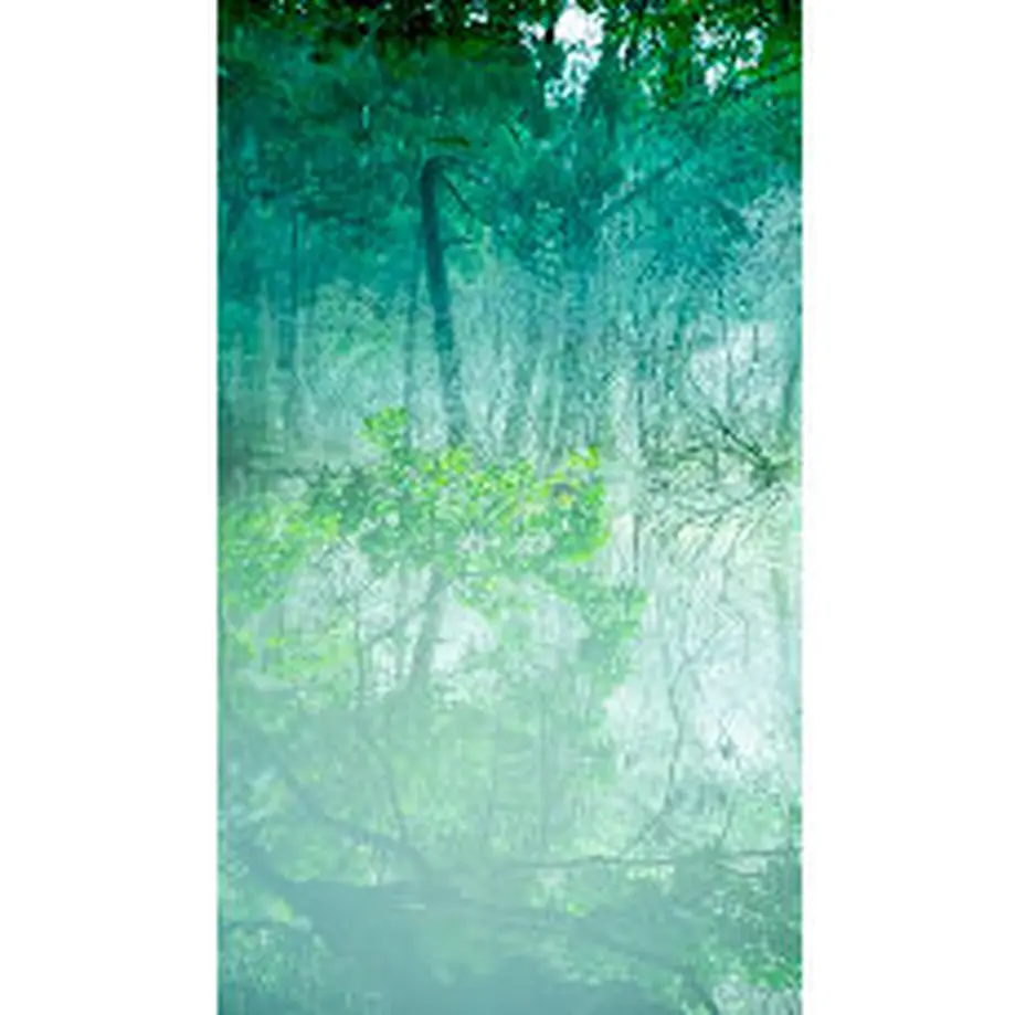 637064a3f3de5c4e9ddb6a66