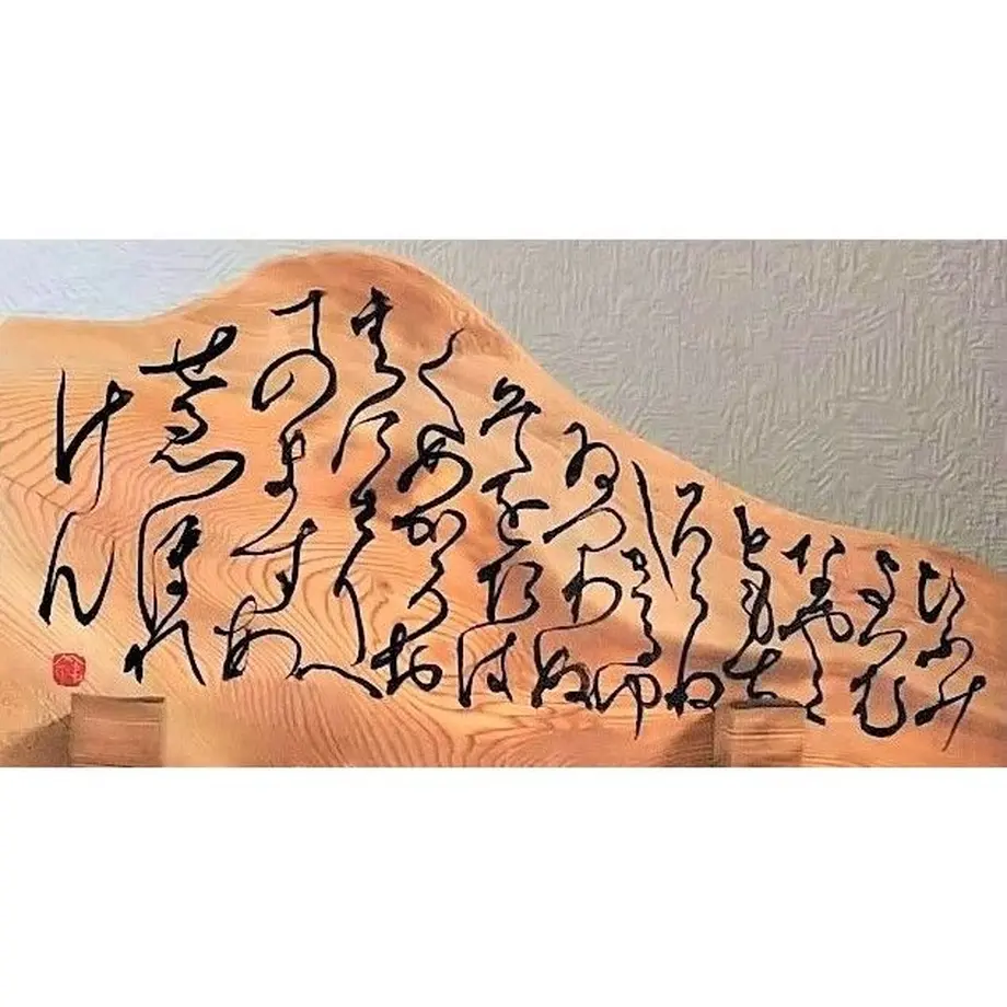 5dd1336bb2f6fd559b559134