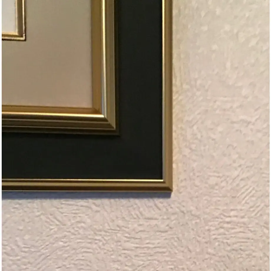 61937cc84e8082563b84a36d