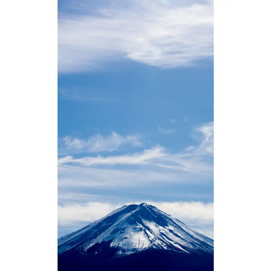 637064a3f3de5c4e9ddb6a66