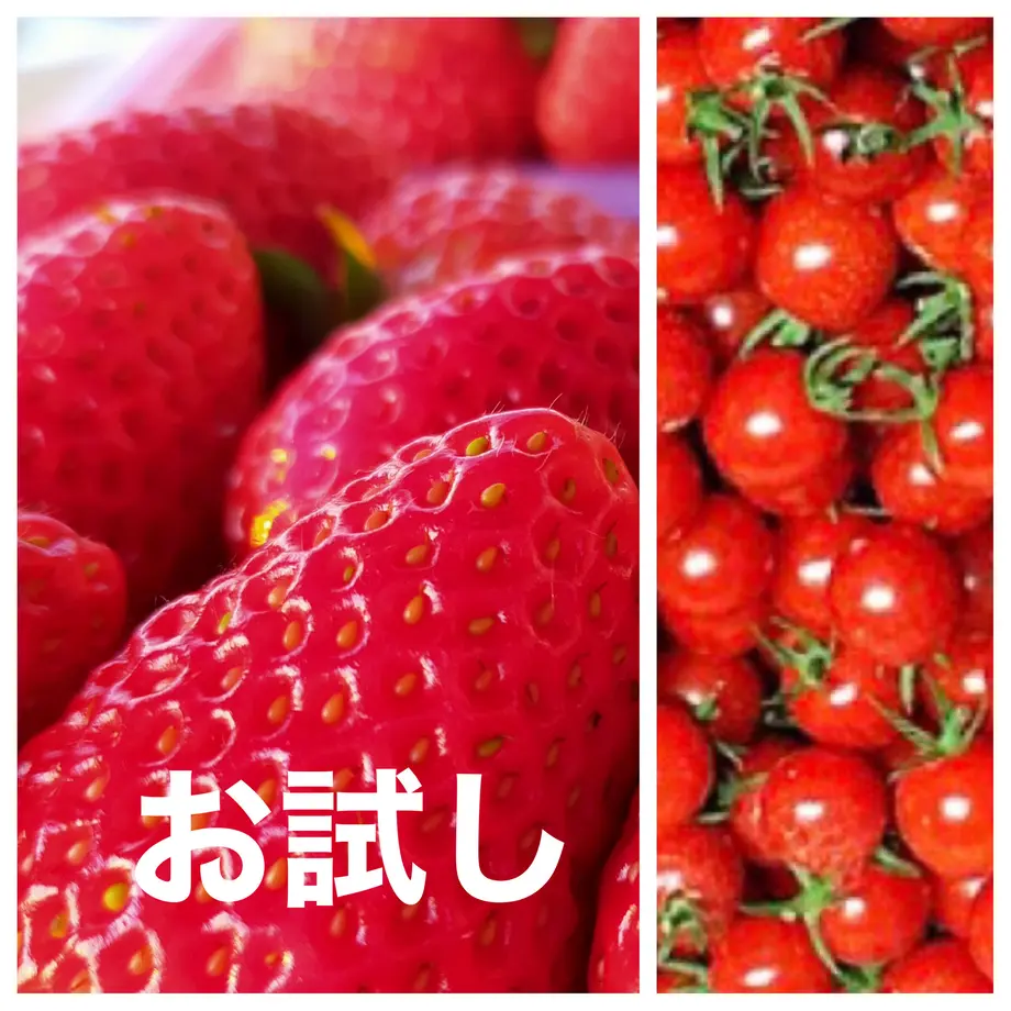 60173ef06e84d51eb4e94cce