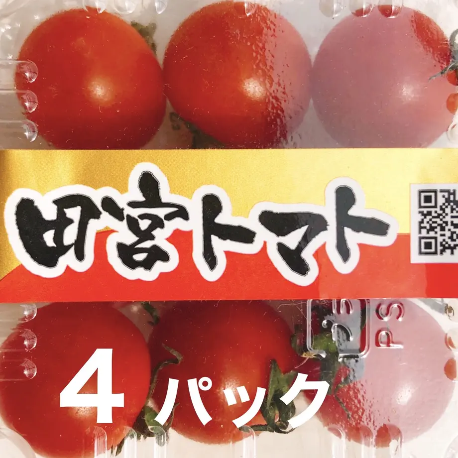 5f2ed457d7e1d86f13291cf3